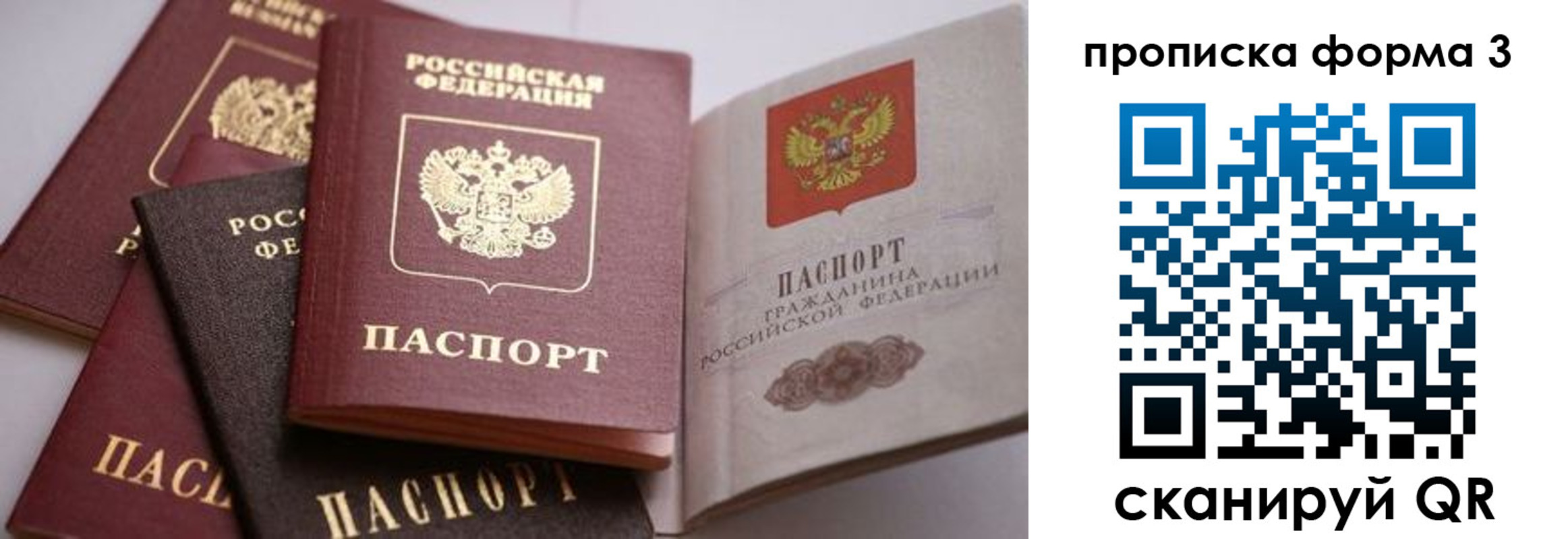 прописка для школы в Краснозаводске